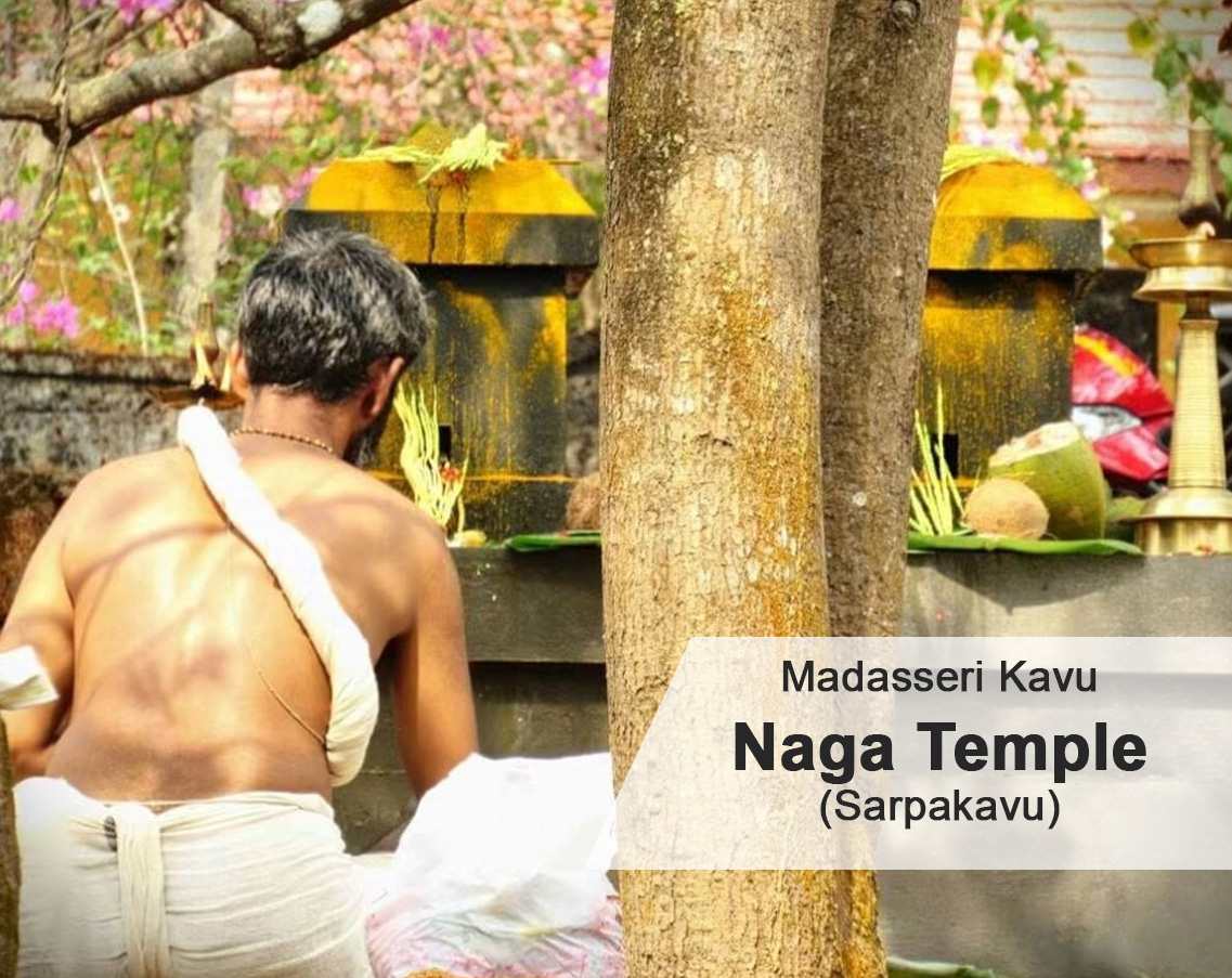 Guru Gopalakrishna Panicker — guru lineage of Madasseri Kalarickal